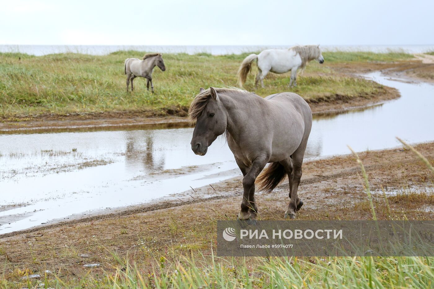 Регионы России. Мурманская область 