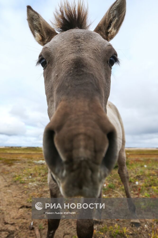 Регионы России. Мурманская область 