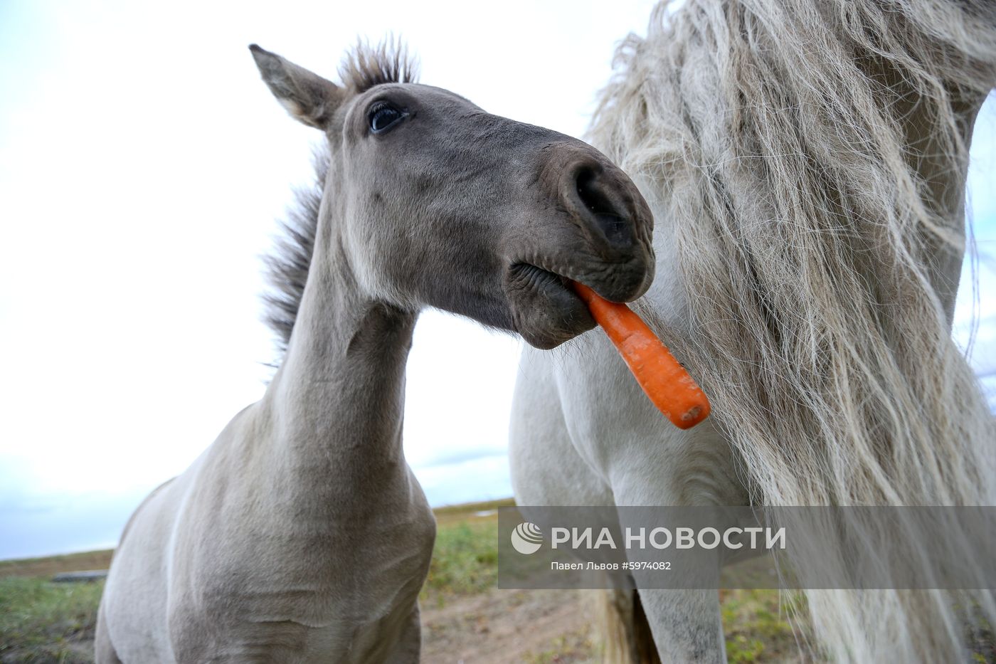 Регионы России. Мурманская область