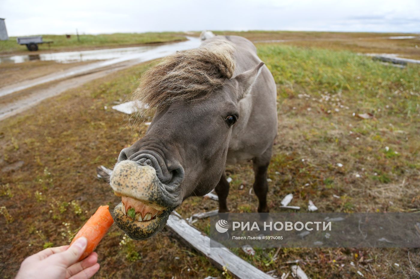 Регионы России. Мурманская область