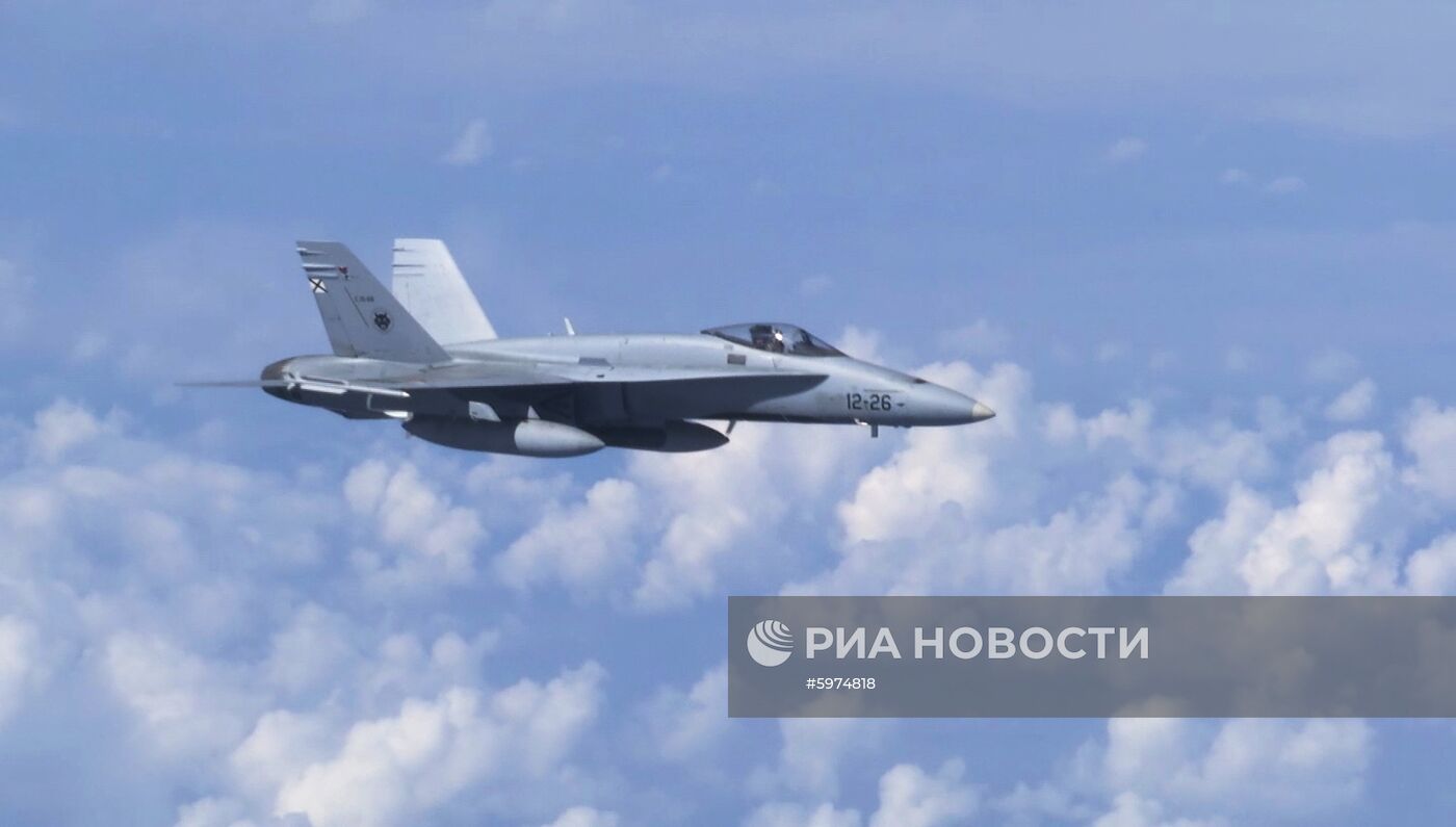 Истребитель НАТО попытался приблизиться к борту министра обороны РФ С. Шойгу