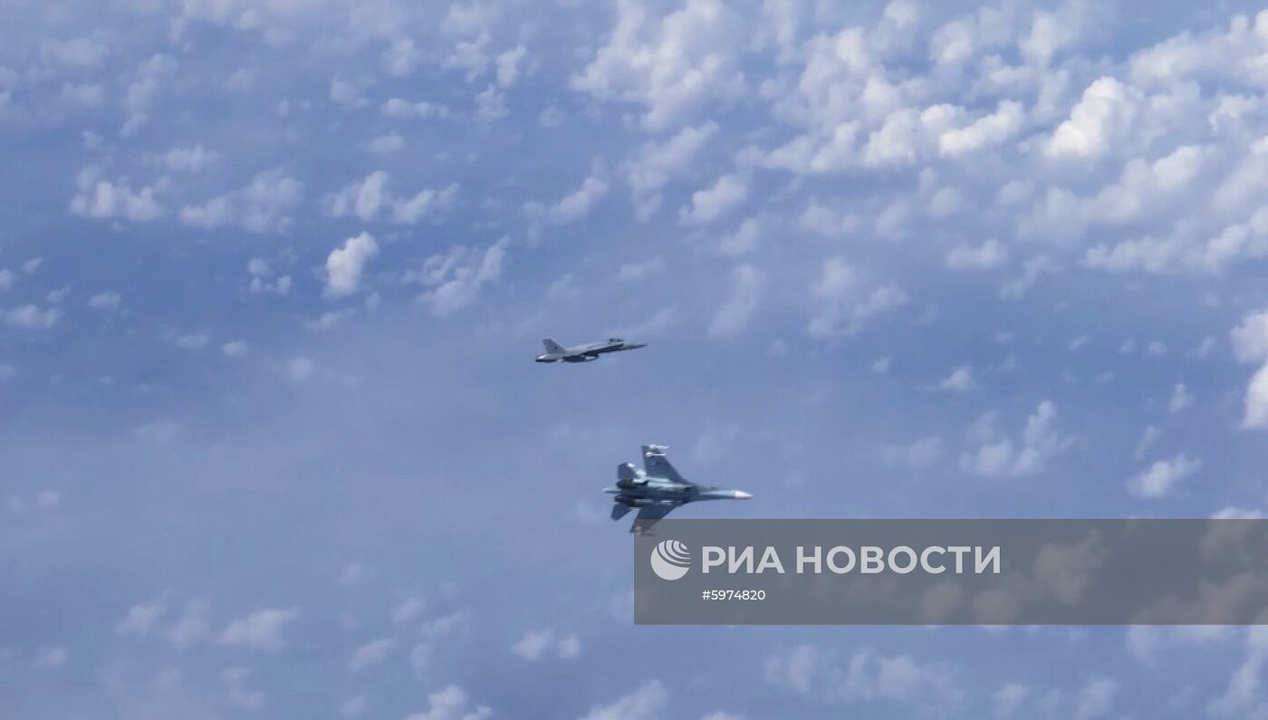 Истребитель НАТО попытался приблизиться к борту министра обороны РФ С. Шойгу