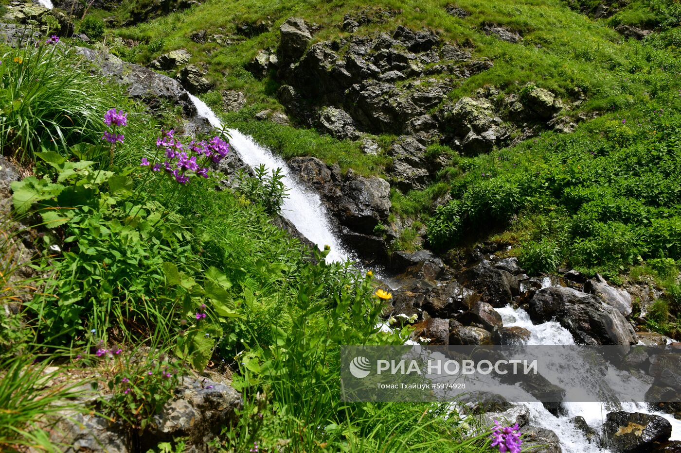 Рицинский реликтовый национальный парк в Абхазии