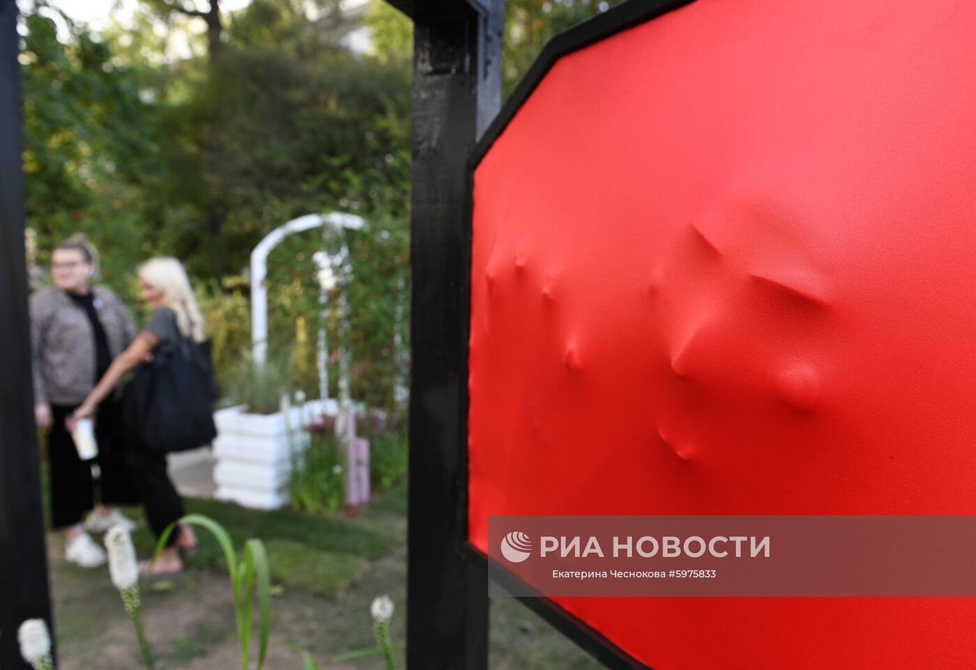 Фрагмент работы "Грани души" в номинации "Сады начинающих" на VI Московском международном фестивале ландшафтного искусства, садоводства и питомниководства "Сады и люди" на тему "Пятый элемент" в Северном сквере на ВДНХ. Место: Россия, Москва. Автор: Екатерина Чеснокова/РИА Новости. VI фестиваль "Сады и люди" на ВДНХ