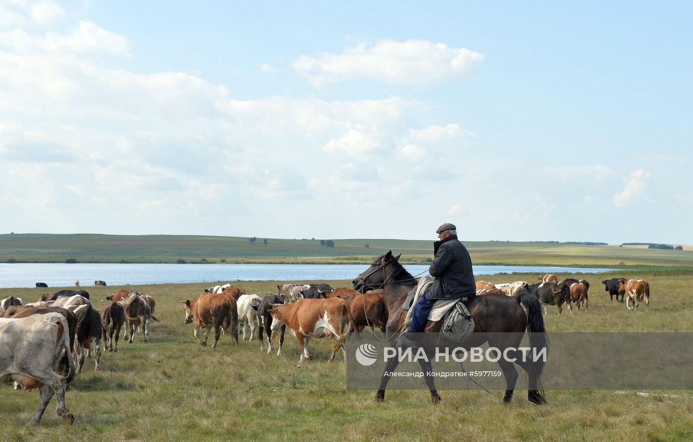 Крестьянское хозяйство "Хлебинка" в Челябинской области
