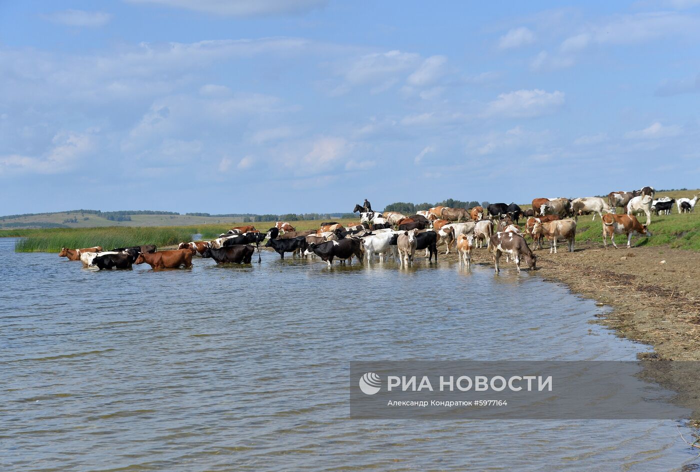 Крестьянское хозяйство "Хлебинка" в Челябинской области