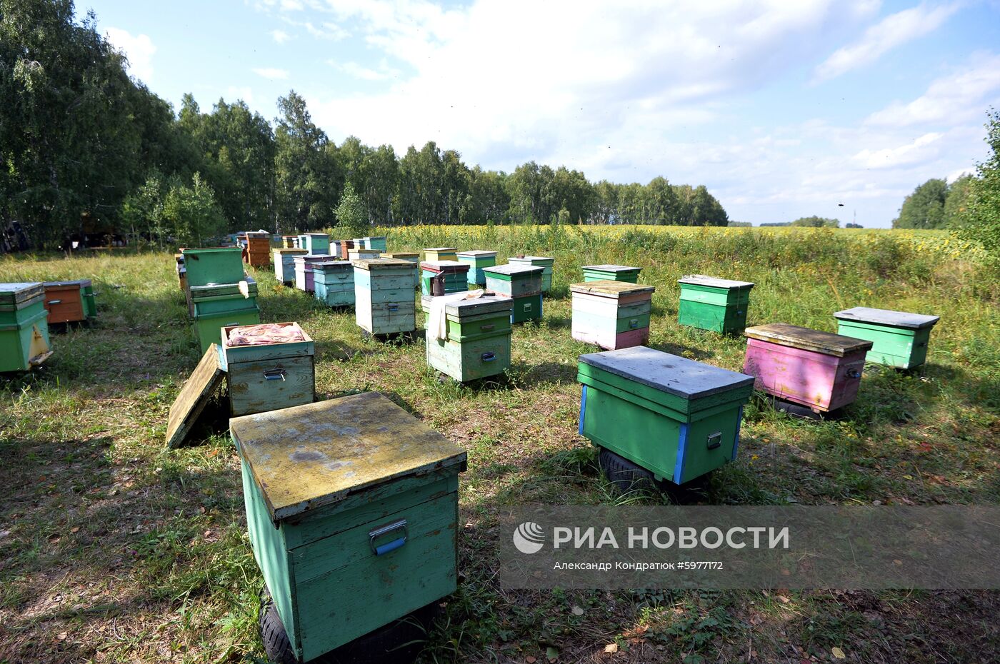 Крестьянское хозяйство "Хлебинка" в Челябинской области