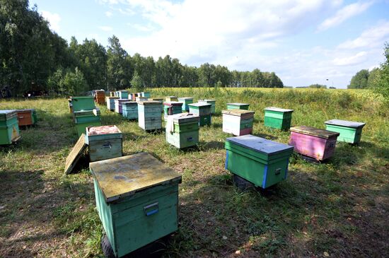 Крестьянское хозяйство "Хлебинка" в Челябинской области