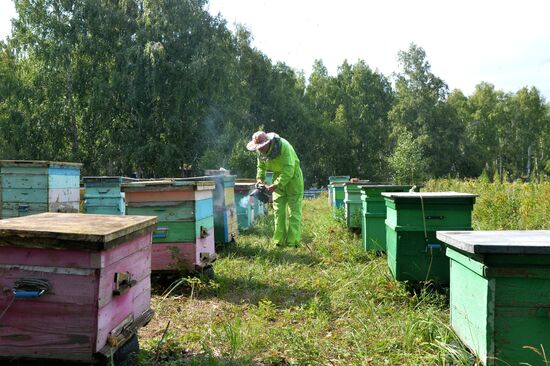 Крестьянское хозяйство "Хлебинка" в Челябинской области