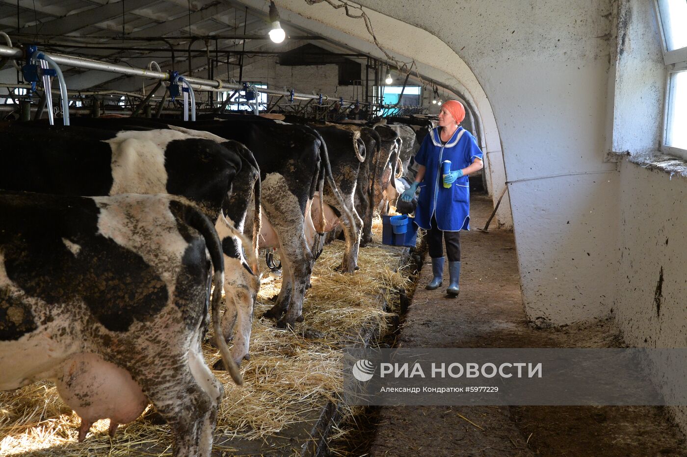 Крестьянское хозяйство "Хлебинка" в Челябинской области