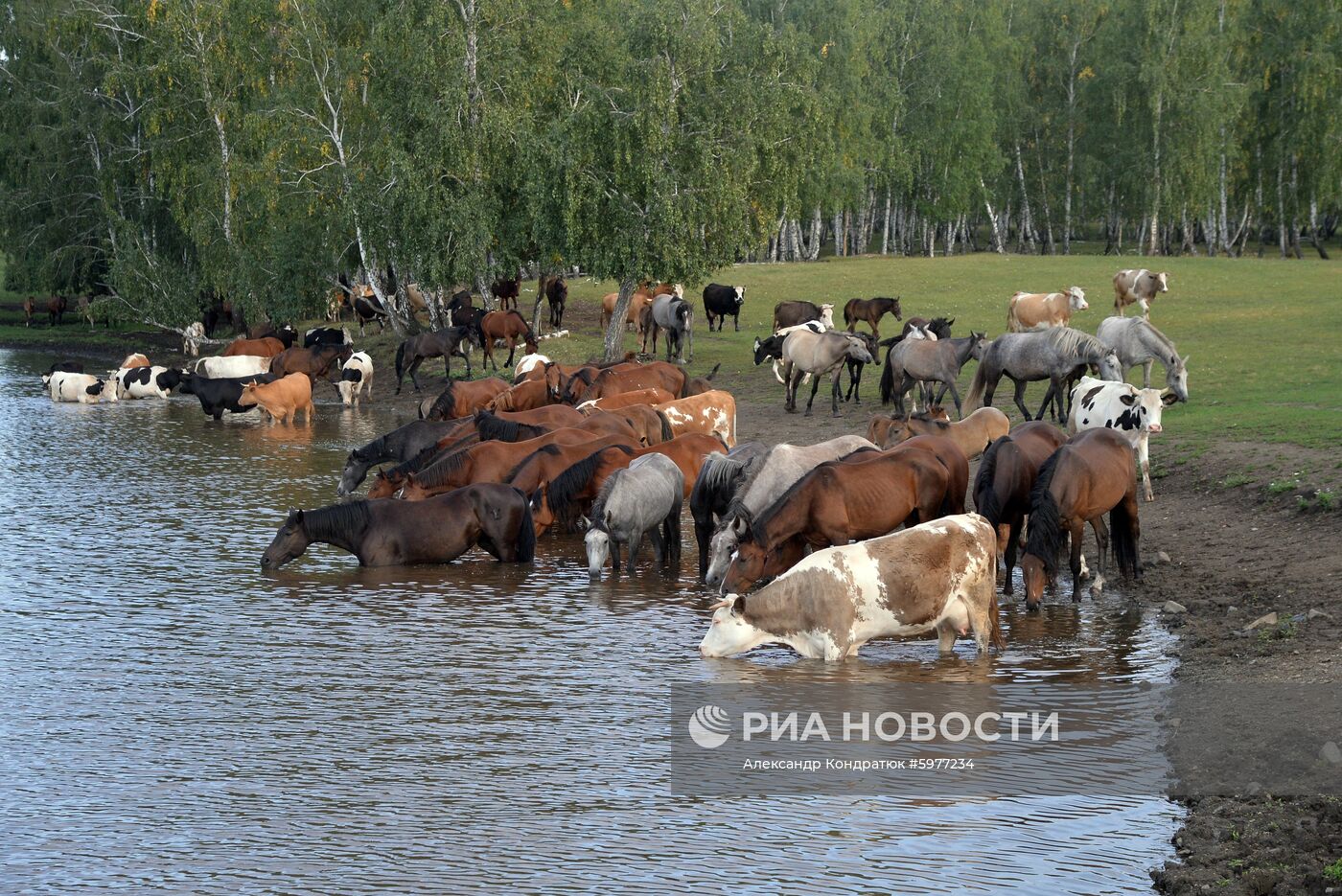 Крестьянское хозяйство "Хлебинка" в Челябинской области