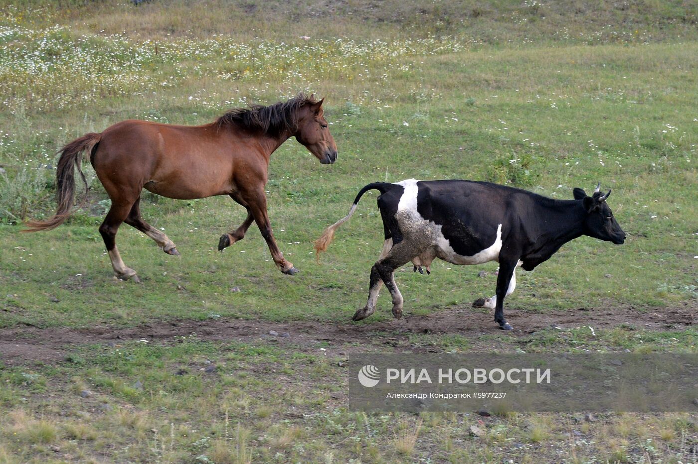 Крестьянское хозяйство "Хлебинка" в Челябинской области