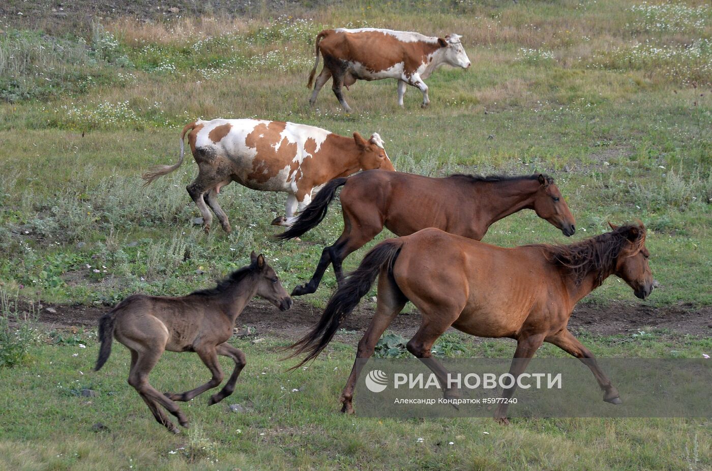 Крестьянское хозяйство "Хлебинка" в Челябинской области