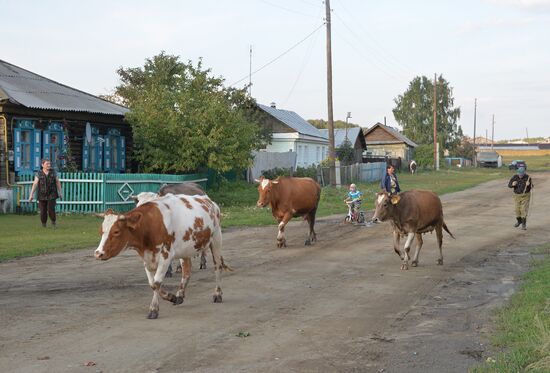 Крестьянское хозяйство "Хлебинка" в Челябинской области