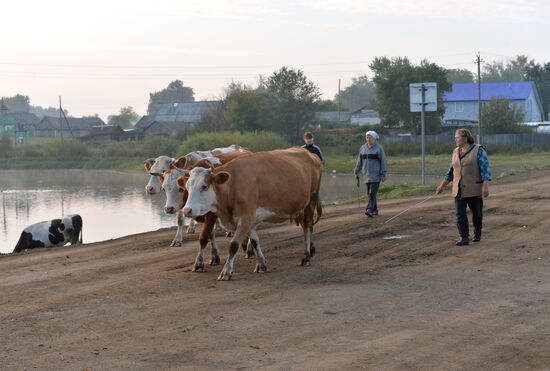 Крестьянское хозяйство "Хлебинка" в Челябинской области