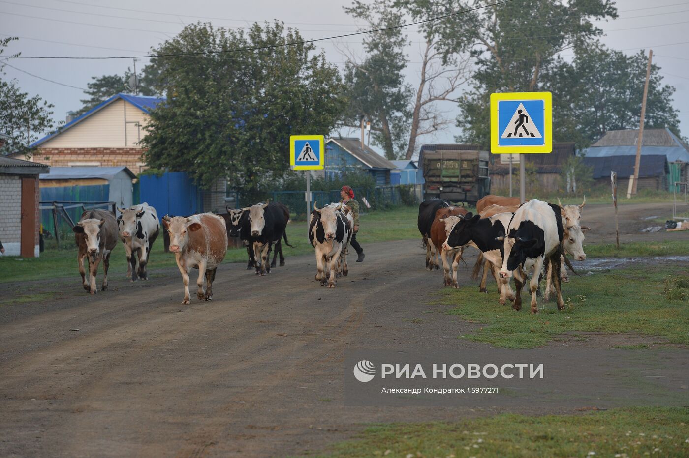 Крестьянское хозяйство "Хлебинка" в Челябинской области