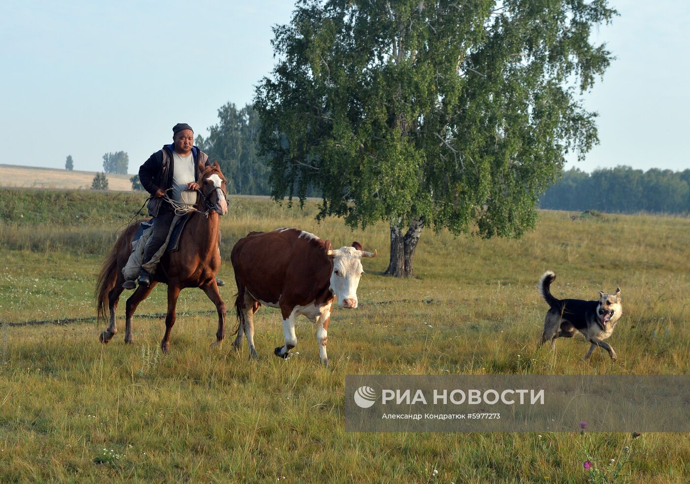 Крестьянское хозяйство "Хлебинка" в Челябинской области