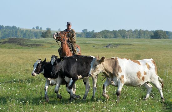Крестьянское хозяйство "Хлебинка" в Челябинской области