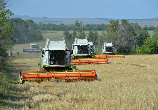 Крестьянское хозяйство "Хлебинка" в Челябинской области