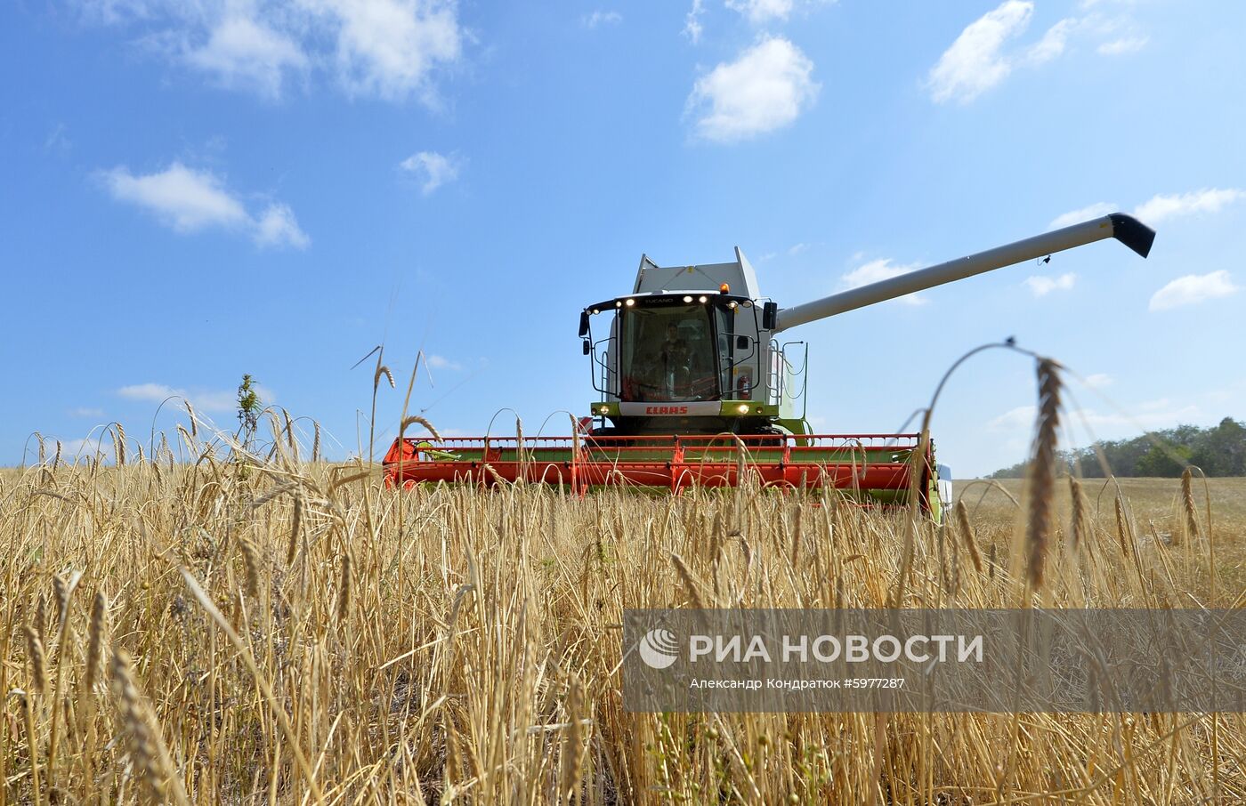 Крестьянское хозяйство "Хлебинка" в Челябинской области