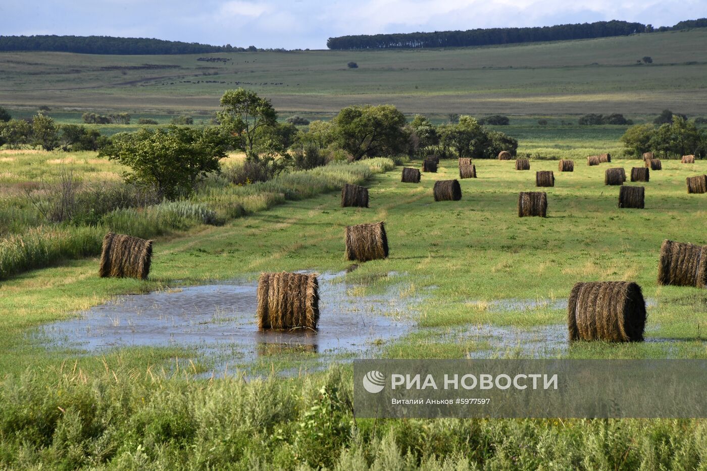 Последствия тайфуна "Кроса" в Приморском крае