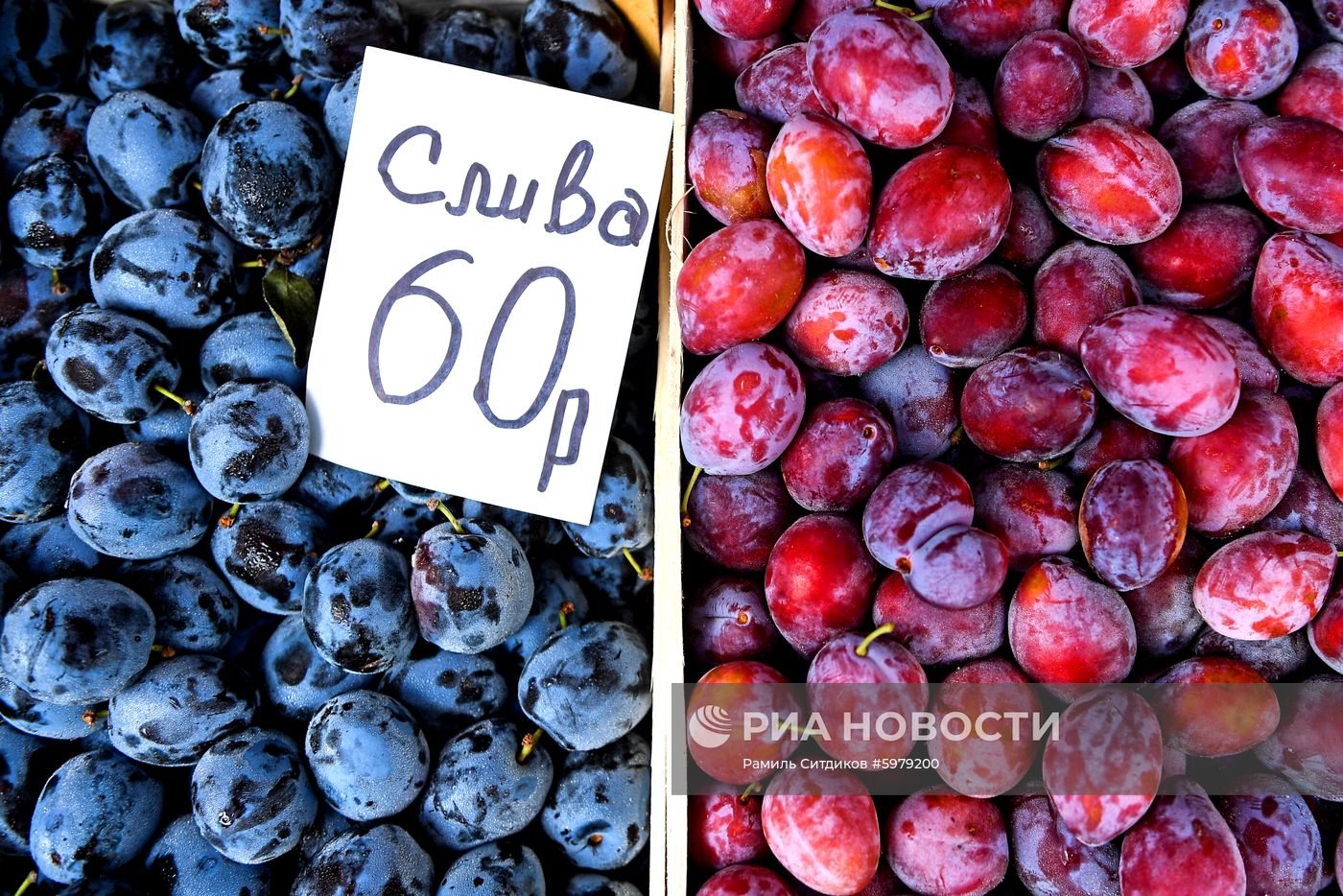 Продажа овощей и фруктов в Москве