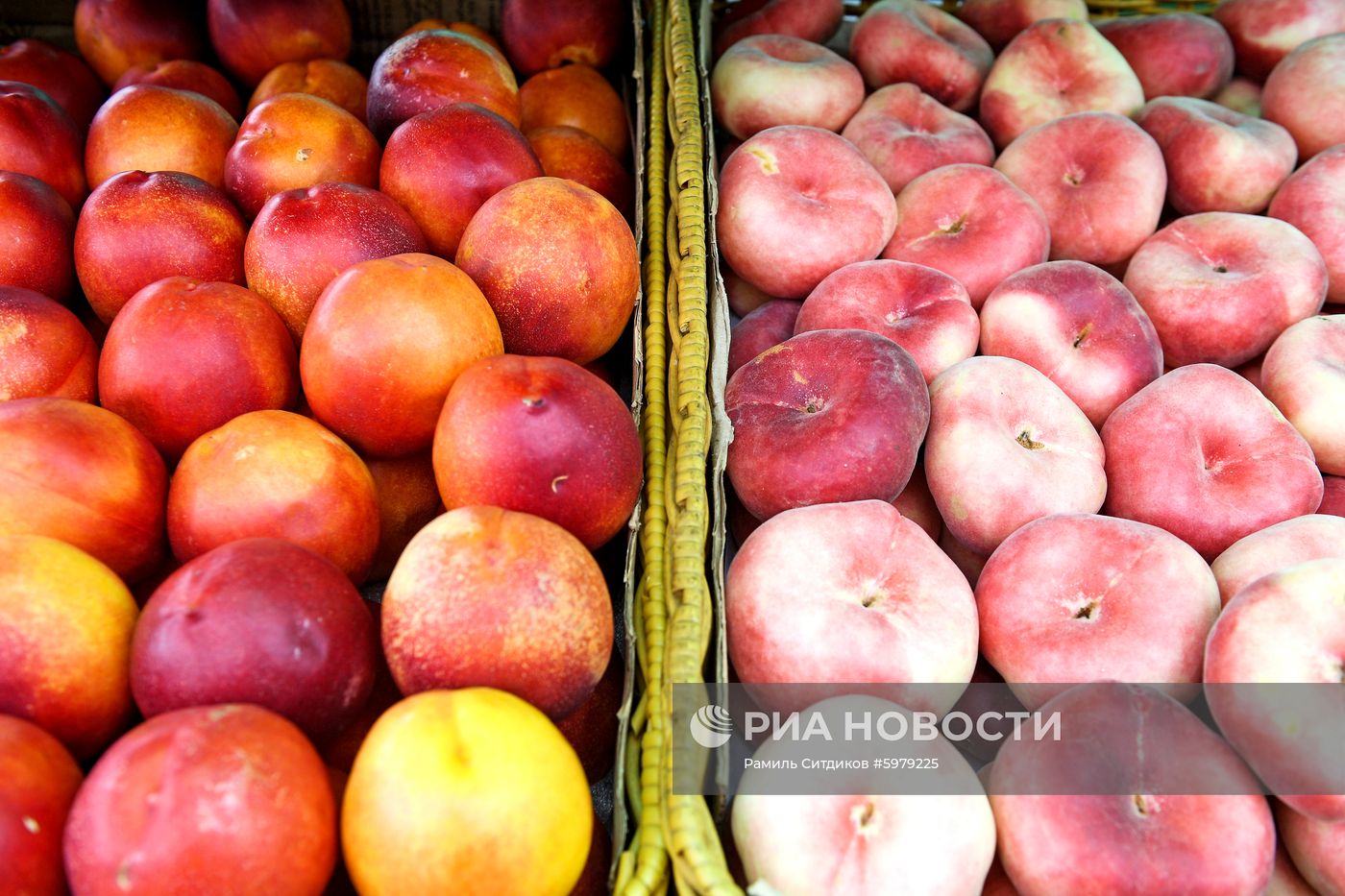 Продажа овощей и фруктов в Москве