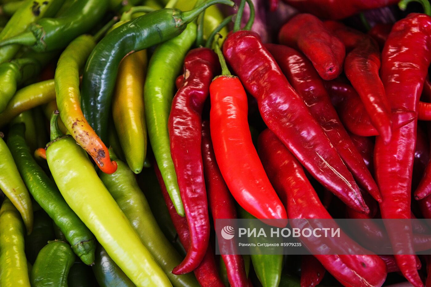 Продажа овощей и фруктов в Москве