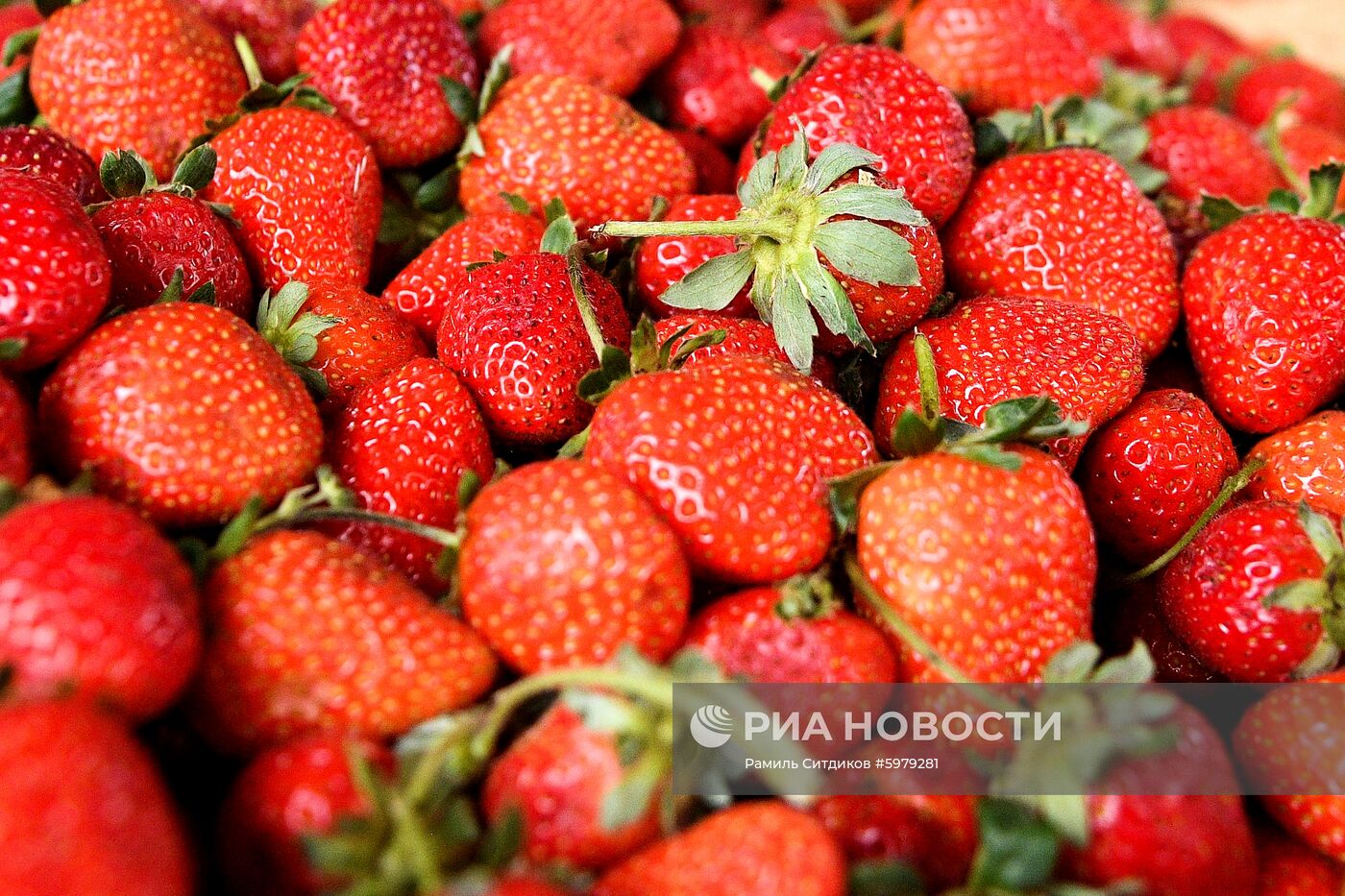Продажа овощей и фруктов в Москве