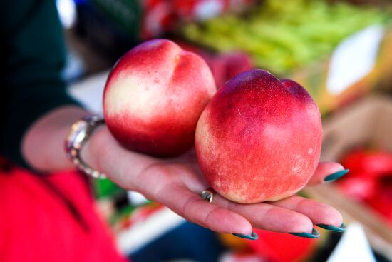 Продажа овощей и фруктов в Москве