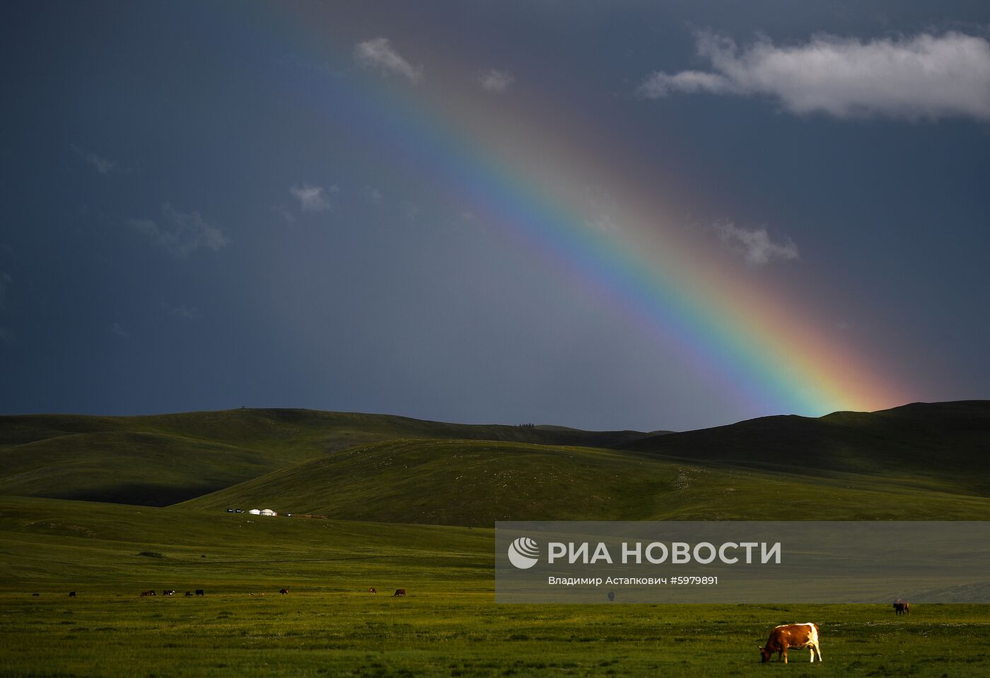 Страны мира. Монголия 