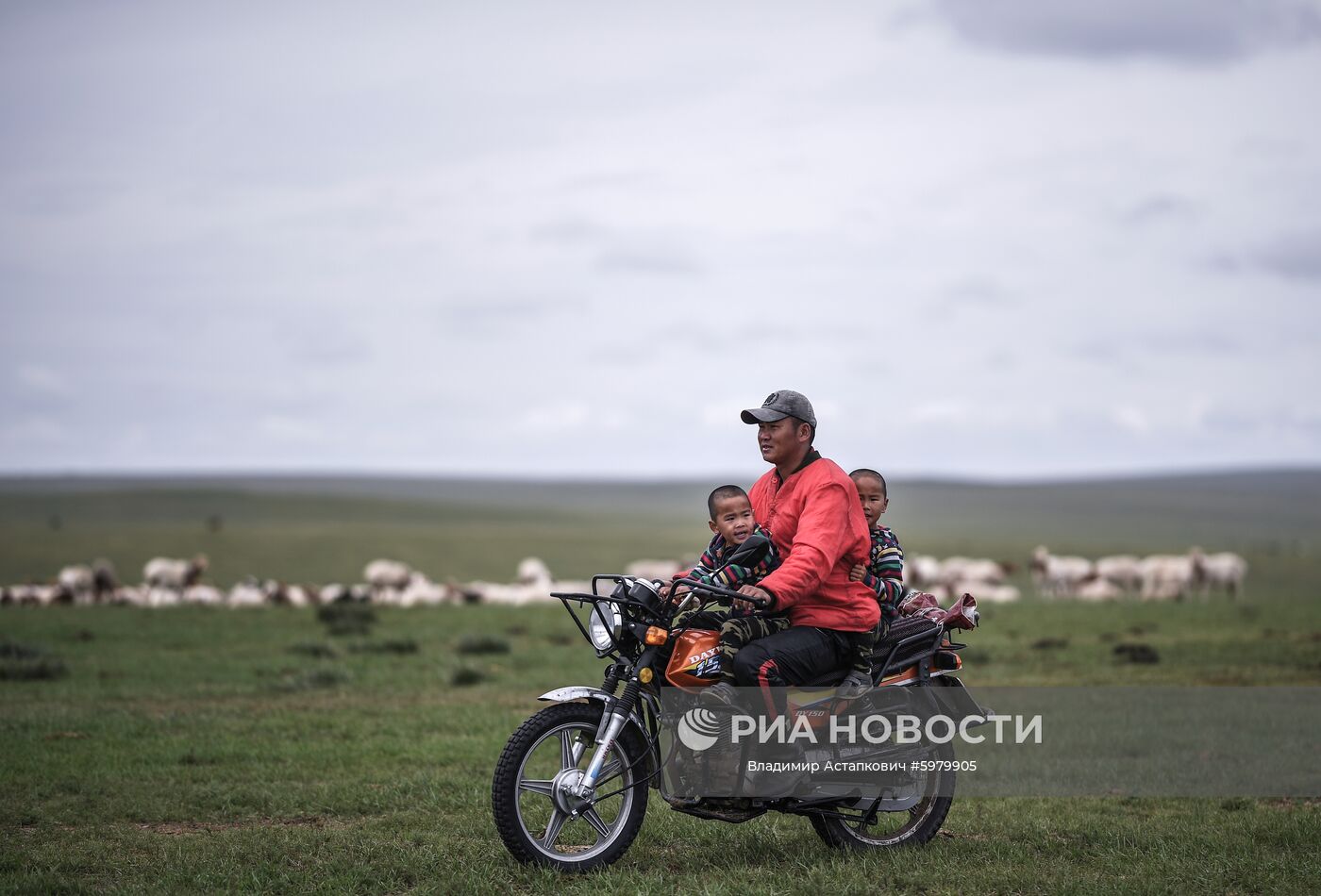 Страны мира. Монголия