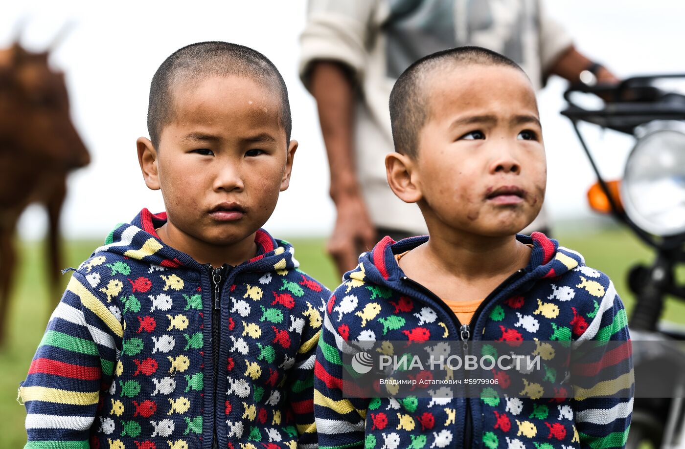 Страны мира. Монголия