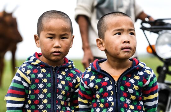 Страны мира. Монголия 