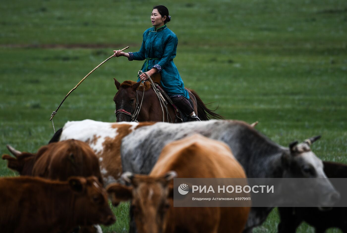 Страны мира. Монголия