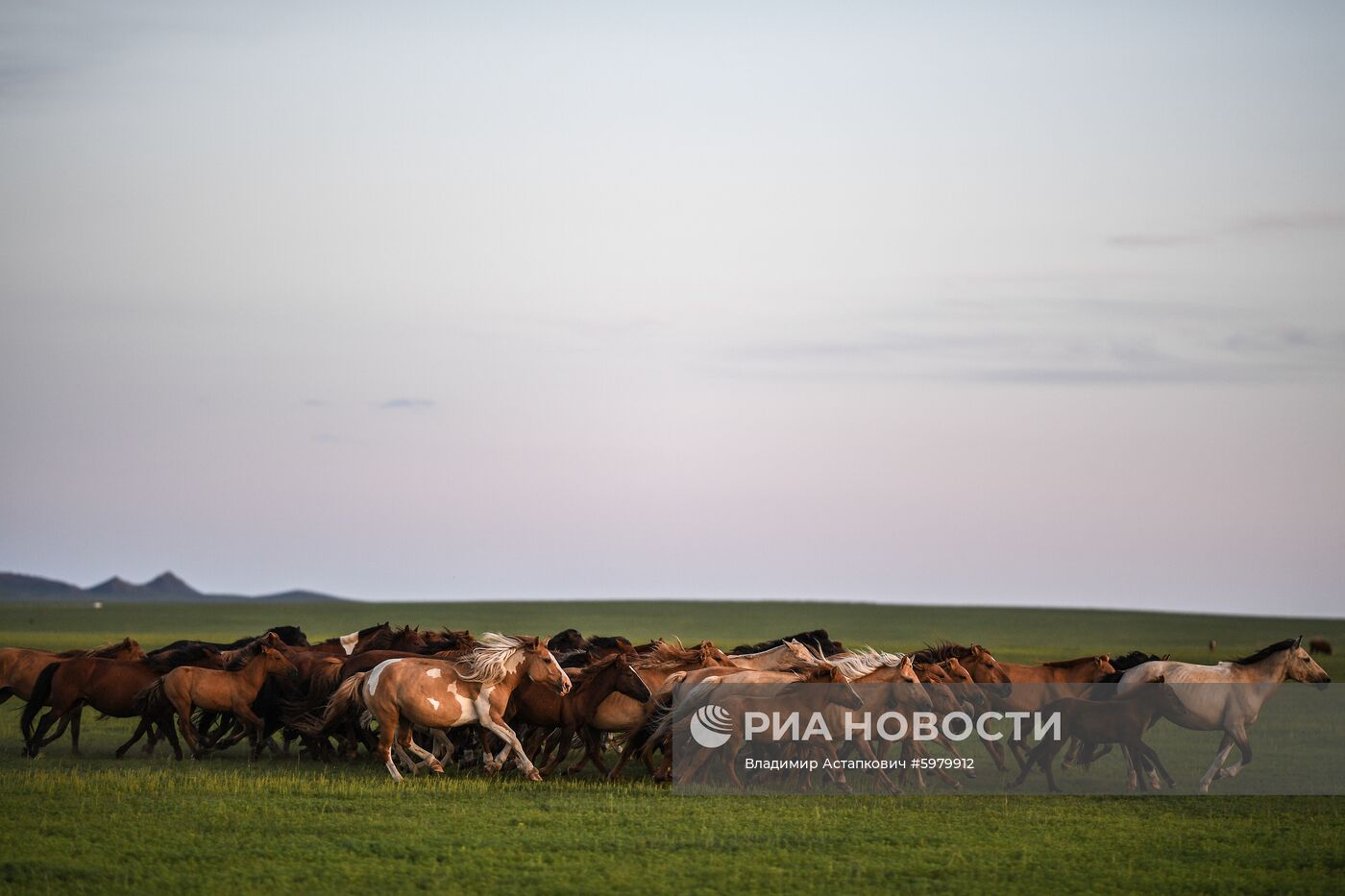 Страны мира. Монголия