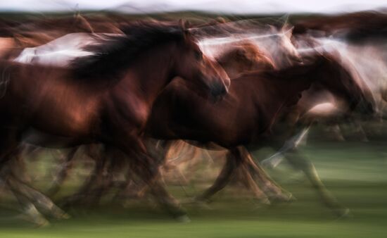 Страны мира. Монголия 