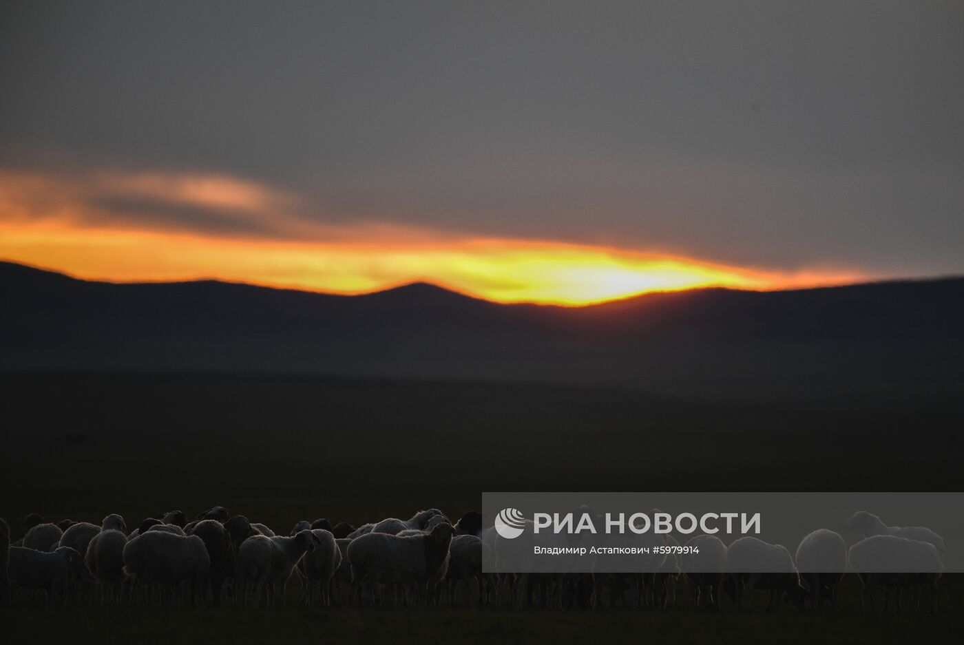 Страны мира. Монголия