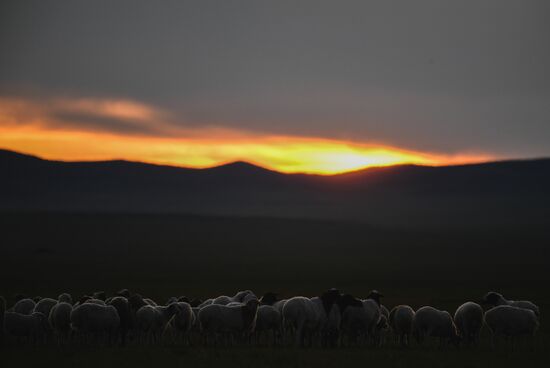 Страны мира. Монголия 