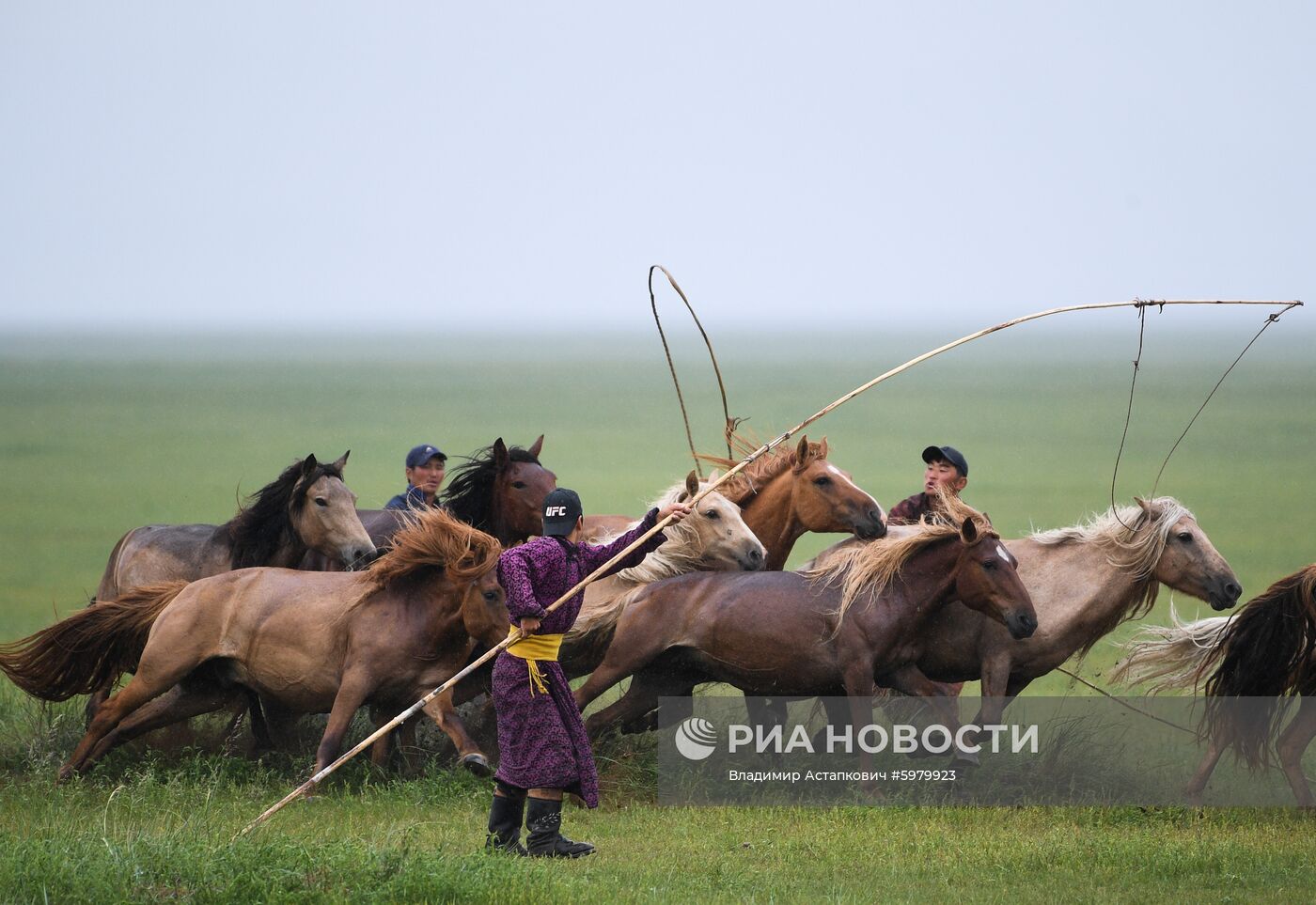 Страны мира. Монголия