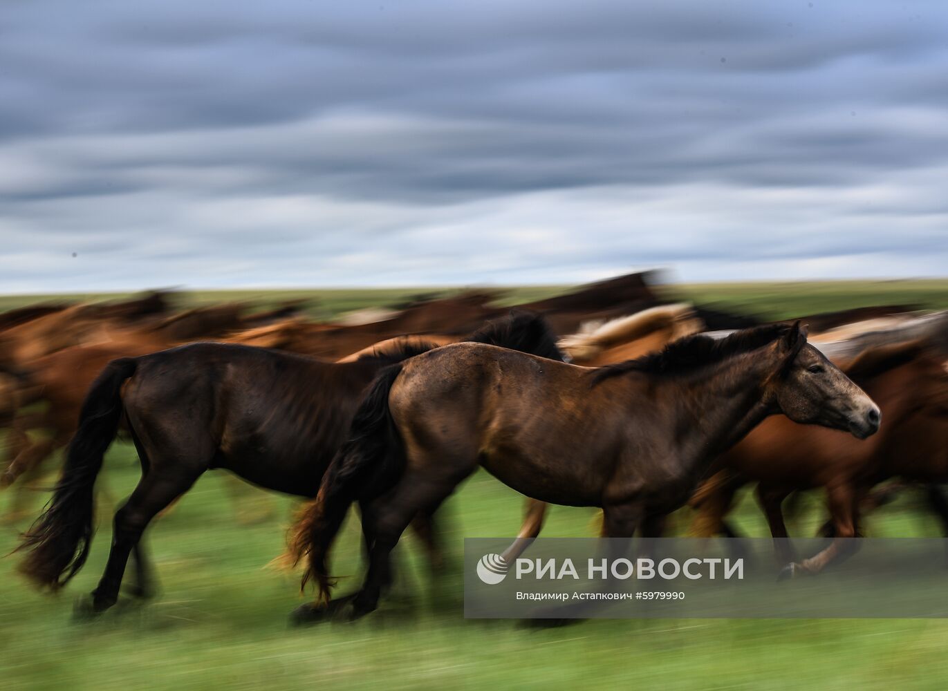 Страны мира. Монголия