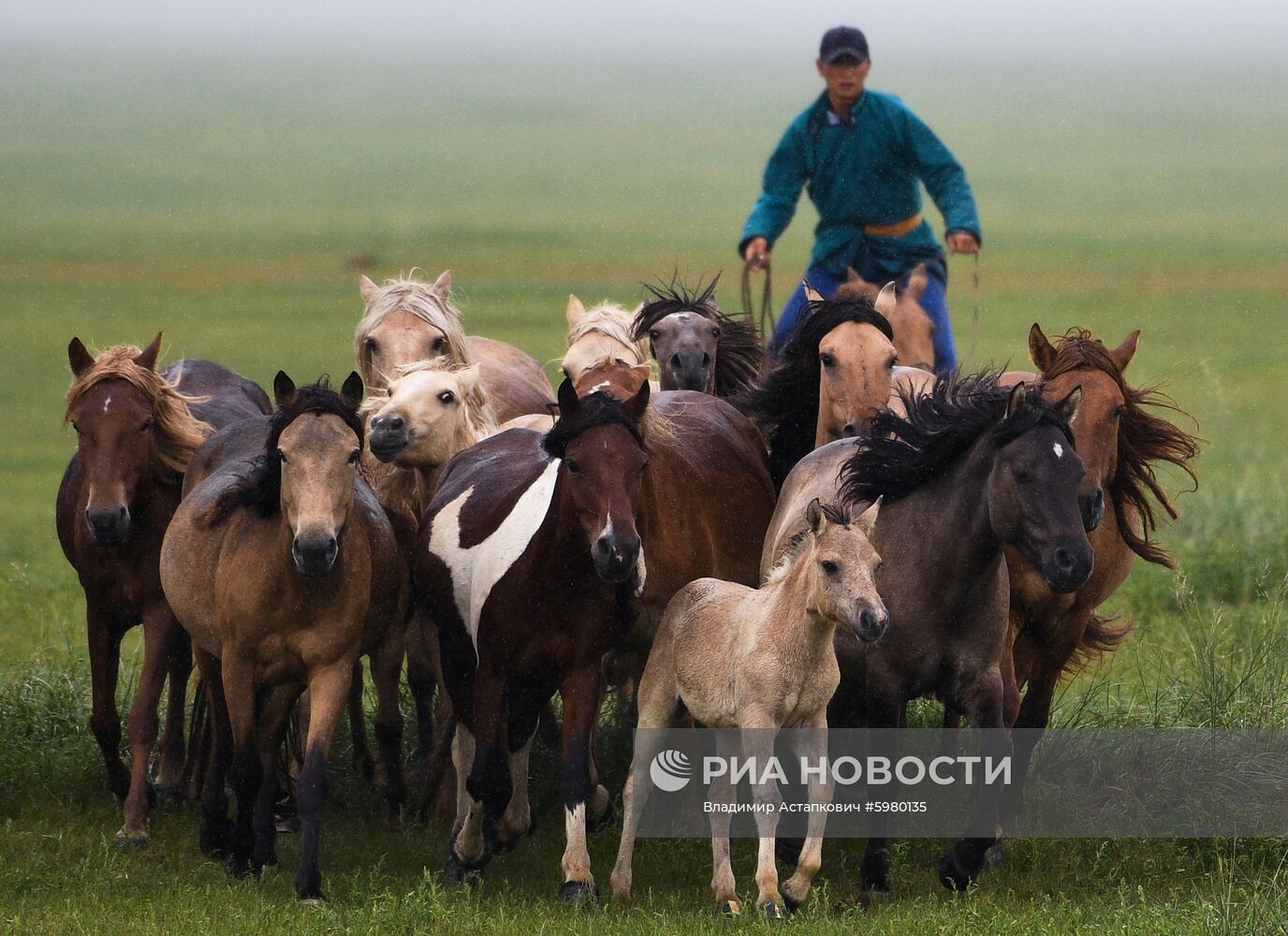 Страны мира. Монголия