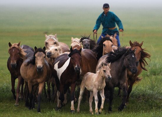 Страны мира. Монголия 