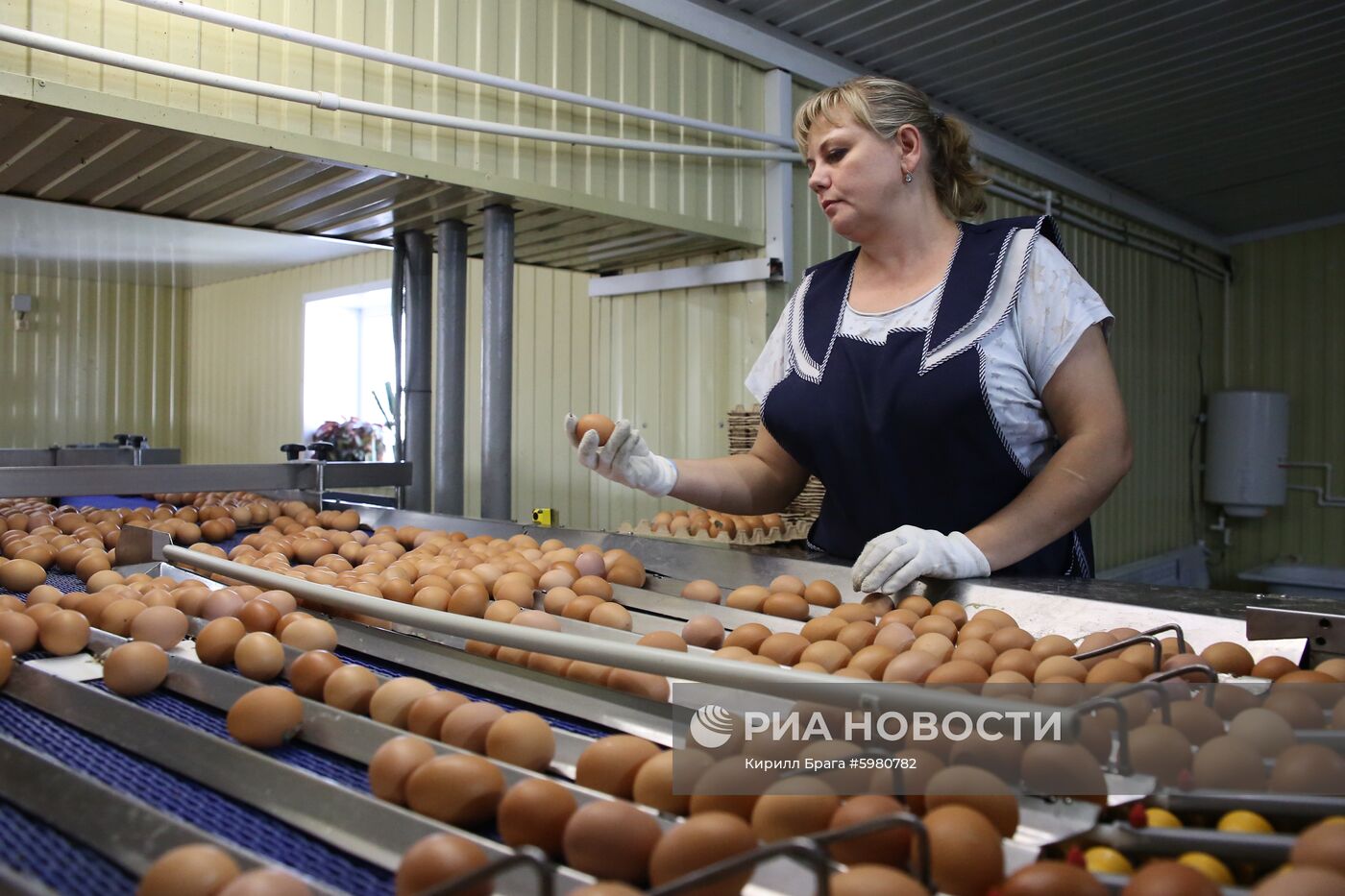 Птицефабрика "Волжская" в Волгоградской области