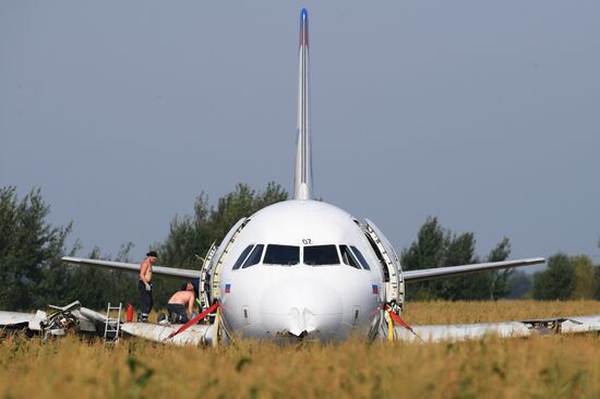 Подготовка к вывозу Airbus A321 с места ЧП