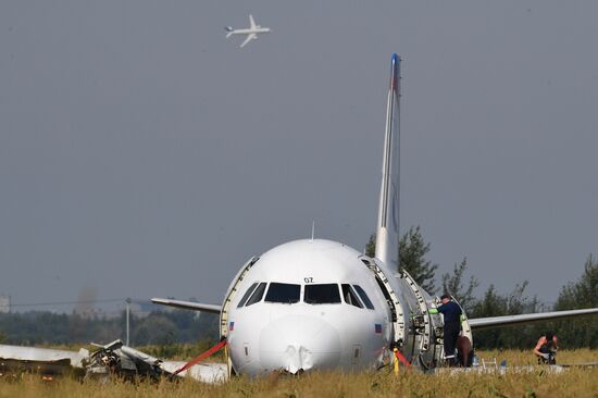 Подготовка к вывозу Airbus A321 с места ЧП