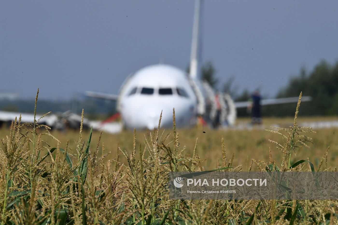 Подготовка к вывозу Airbus A321 с места ЧП