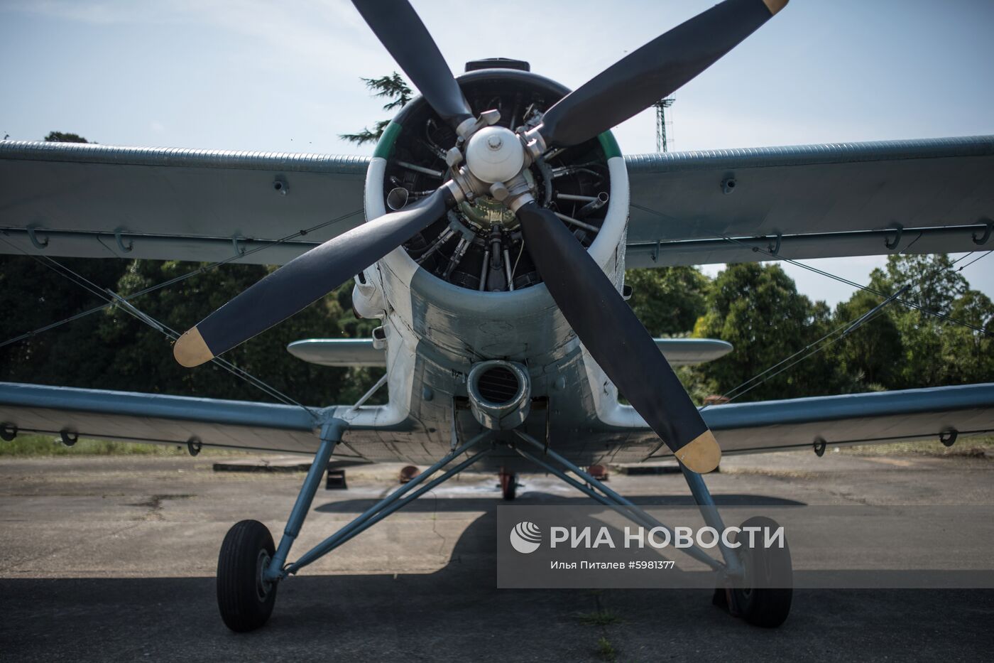 Сухумский международный аэропорт