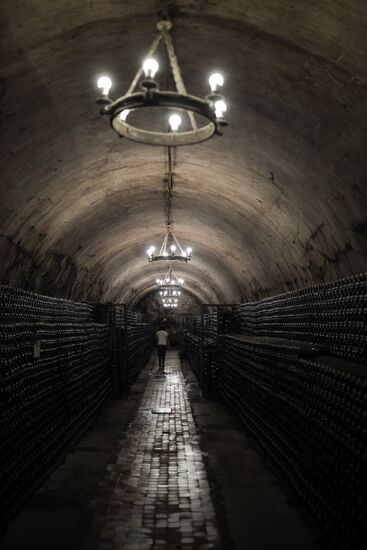 Завод шампанских вин в Абрау - Дюрсо