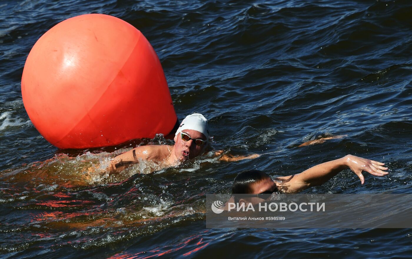 Кубок России по плаванию на открытой воде